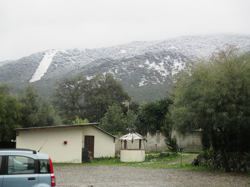 Finca La Mota Alhaurín el Grande Exteriör bild